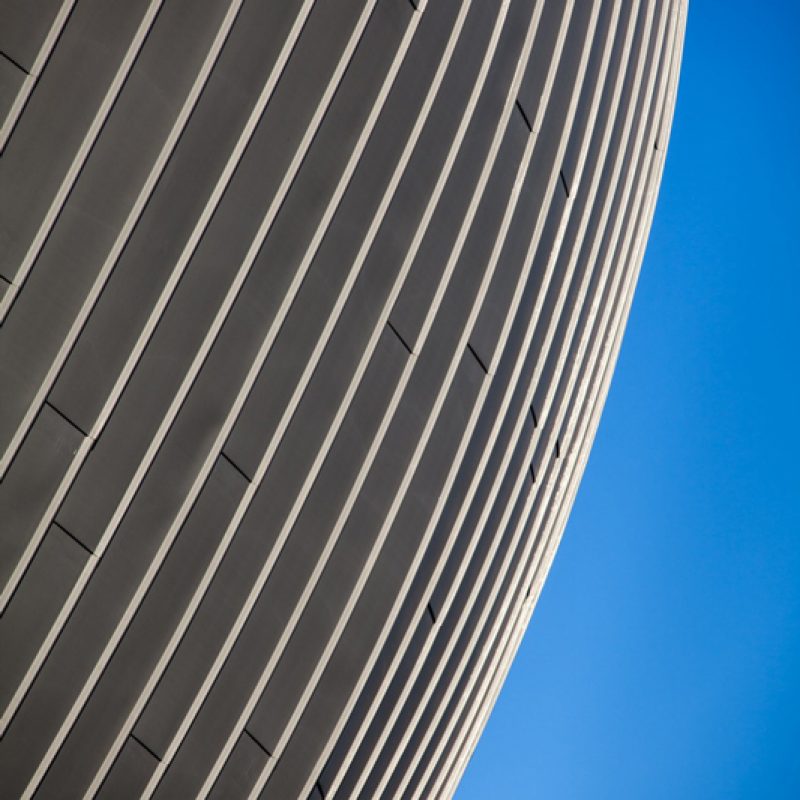 IMG_5593