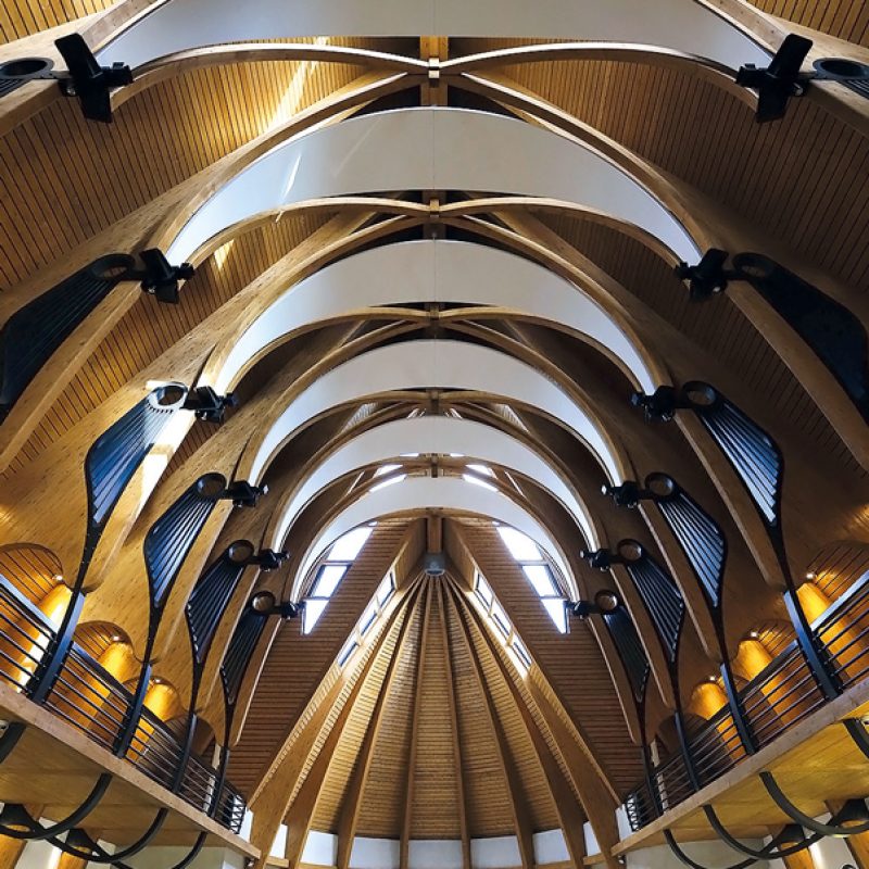 regina-carmelului-interno-soffitto-2
