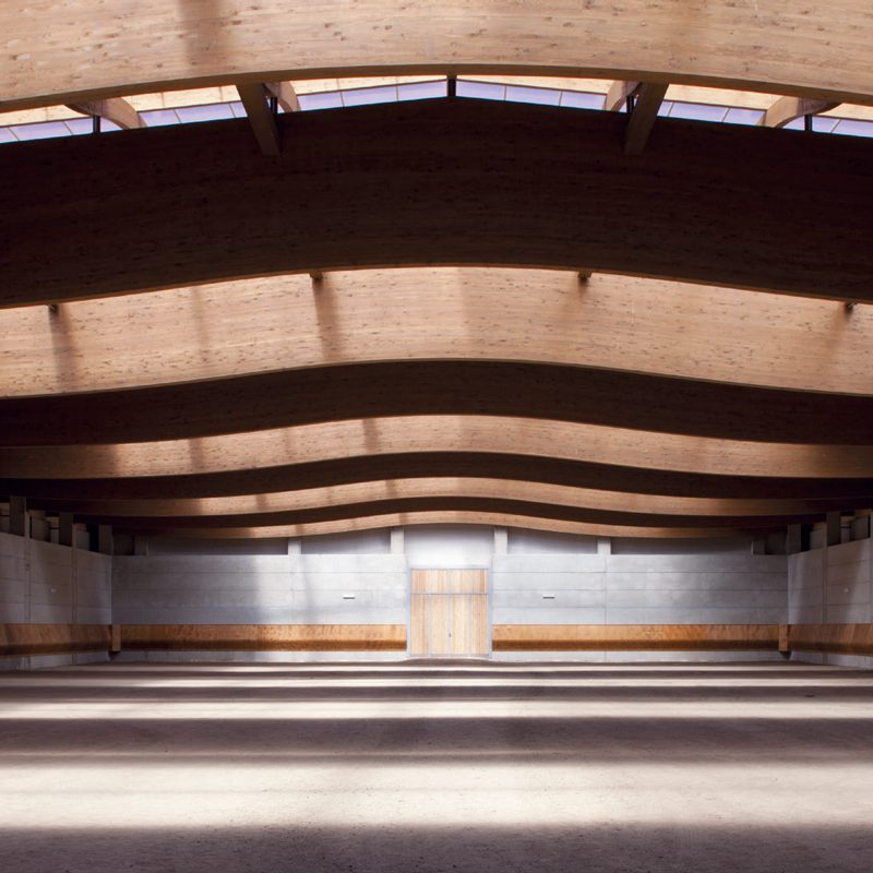 soc-ippica-torinese-interno-2