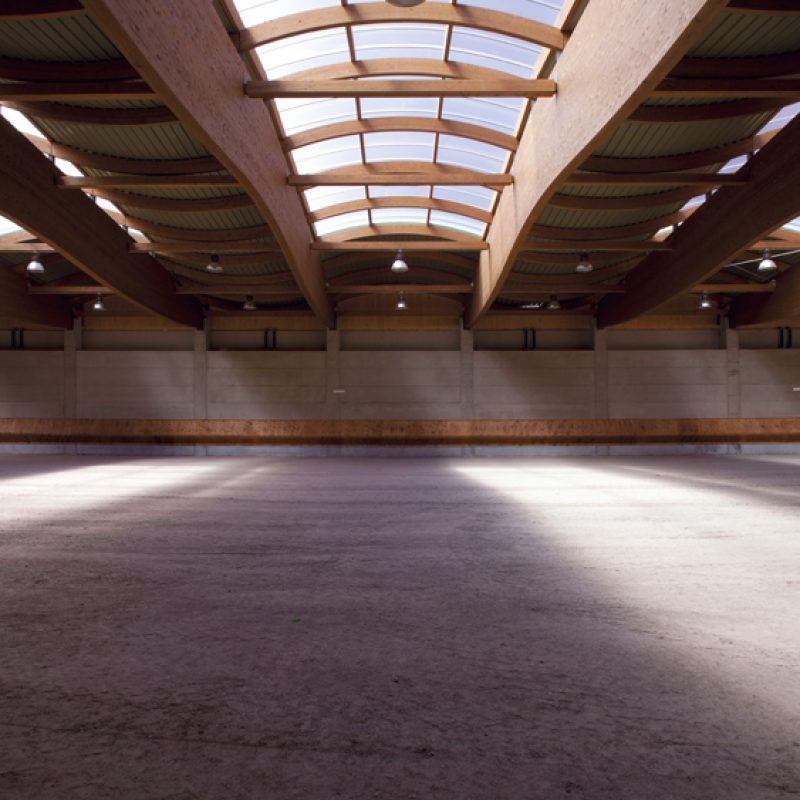 soc-ippica-torinese-interno
